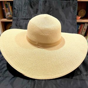 EXPRESS Floppy Beach/Winery/Picnic Hat